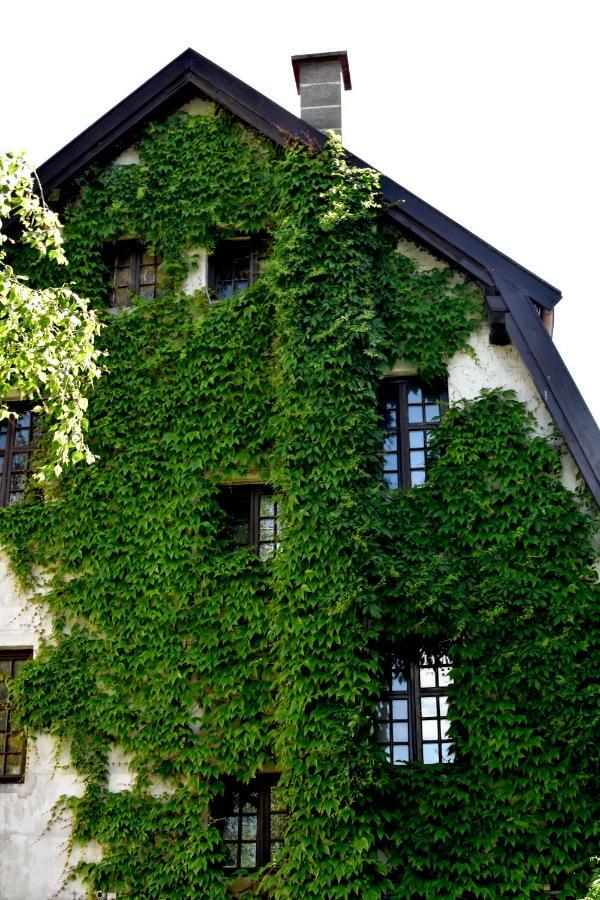 Hostel Przy Targu Rybnym 그단스크 외부 사진